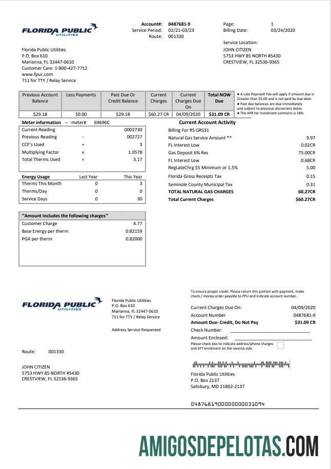 Em branco modelo de conta de serviços públicos dos EUA, Flórida, em formato Word e PDF